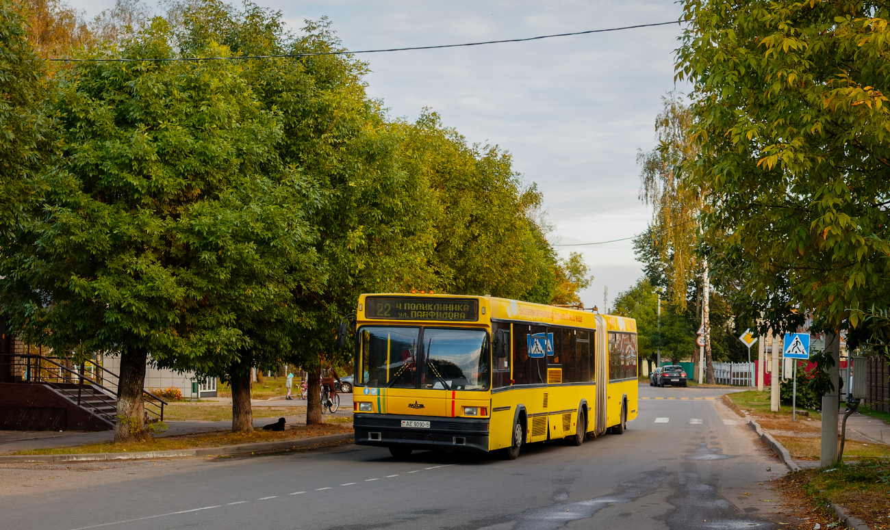 Borisov, MAZ-105.065 # 14699