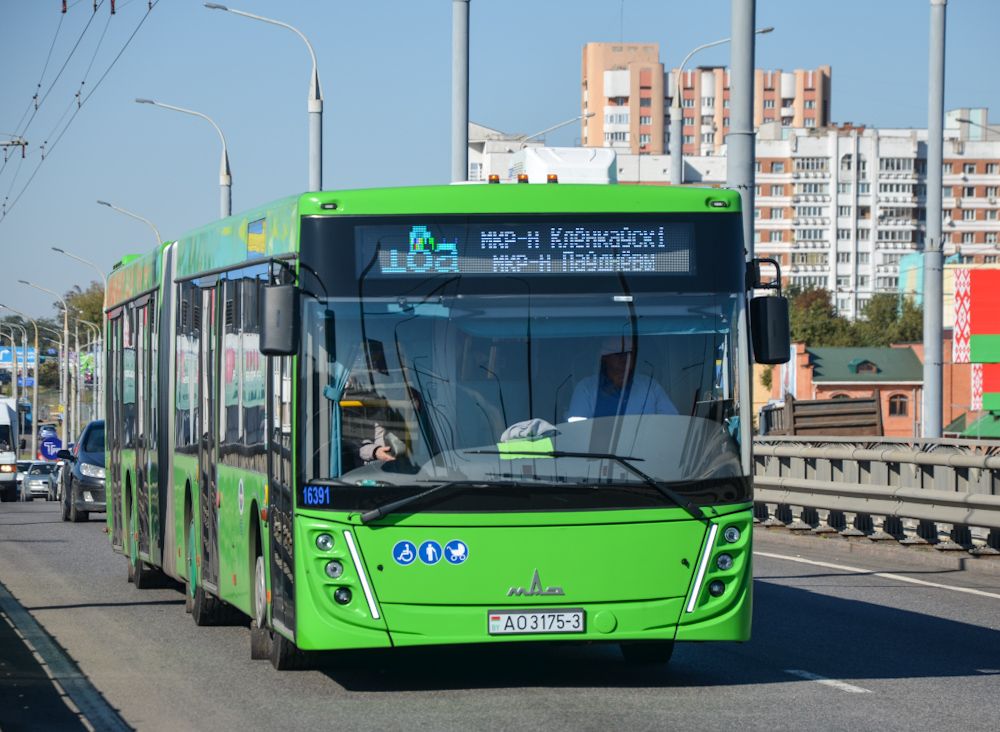 Gomel, MAZ-216.047 # 016391