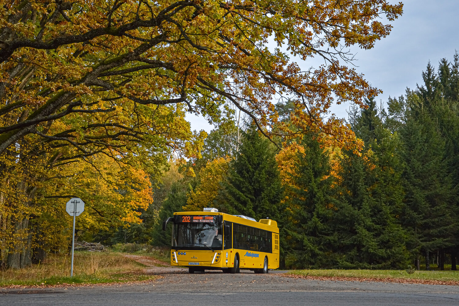 Minsk District, MAZ-203.147 # 20044