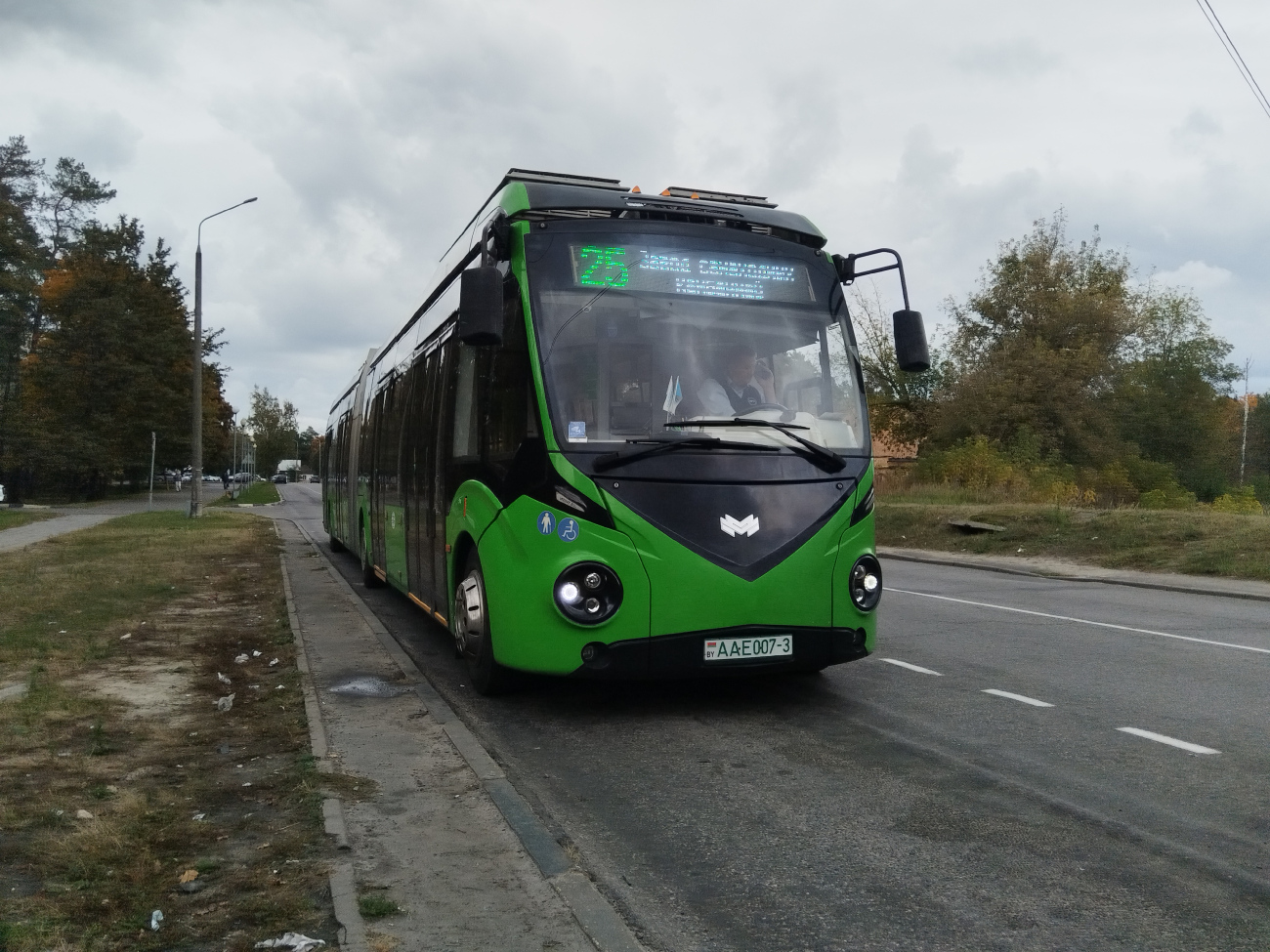 Gomel, BKM E433 # 26239