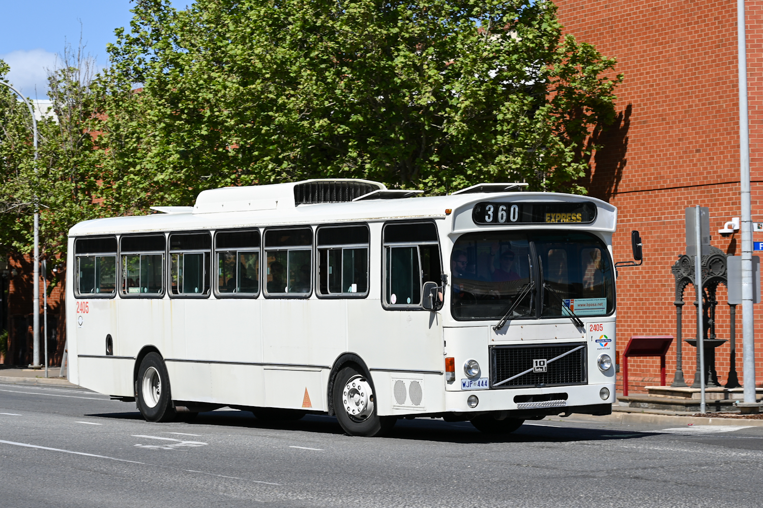 Adelaide, PMCSA # 2405