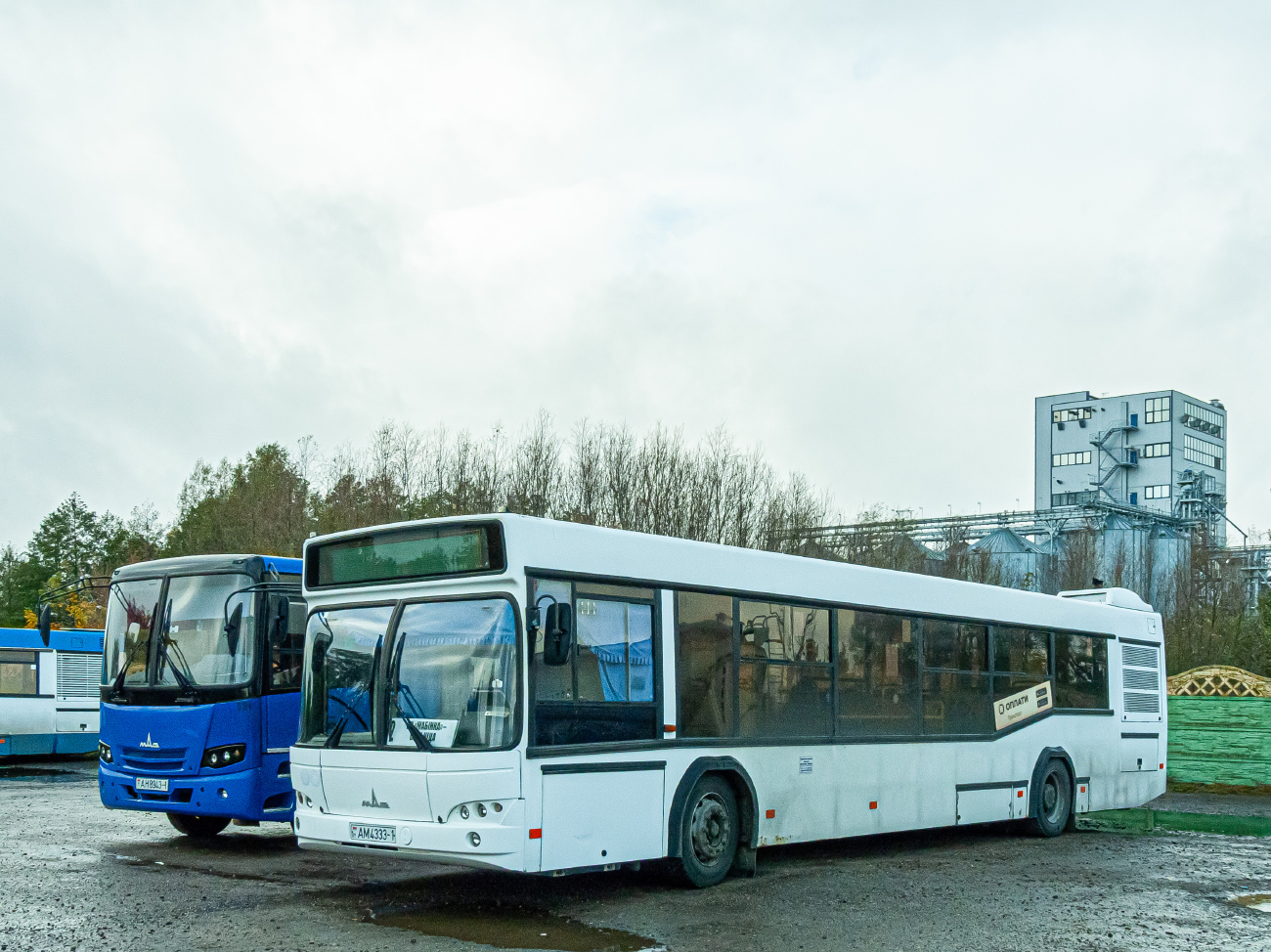 Zhabinka, MAZ-103.486 # 595