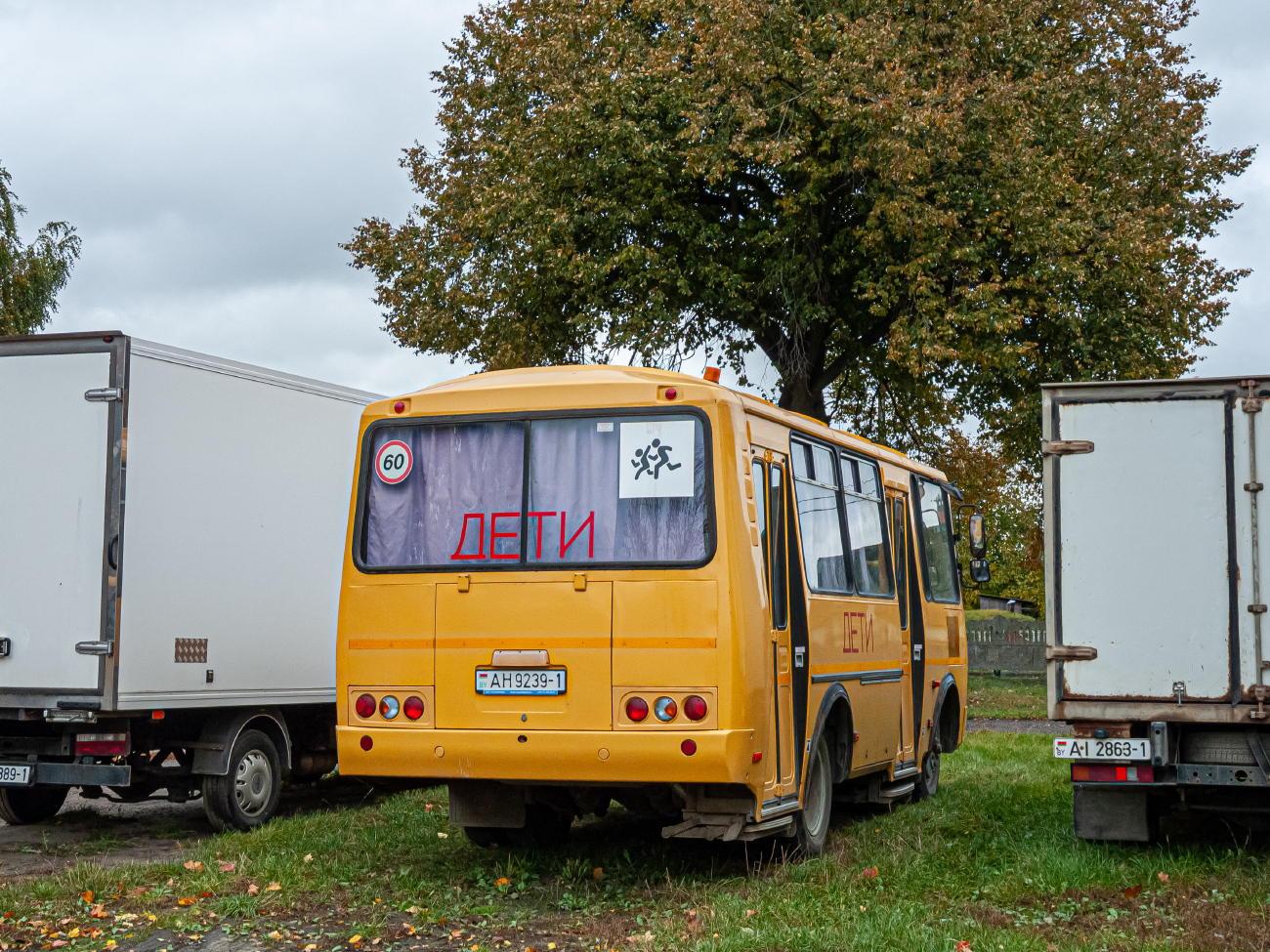 Zhabinka, PAZ-32053 (30, B0, C0, E0) # АН 9239-1