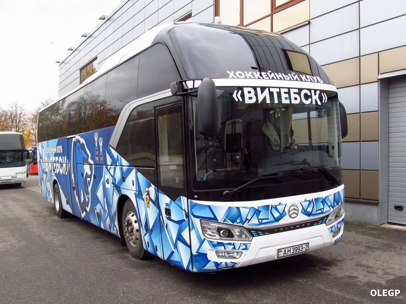 Vitebsk, Golden Dragon XML6126JR # АН 3993-2; Buses of sport clubs and national teams