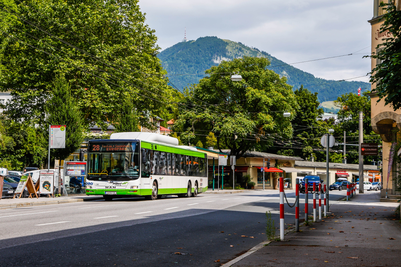 Salzburg, MAN A26 Lion's City LL NL313-15 CNG # L1643