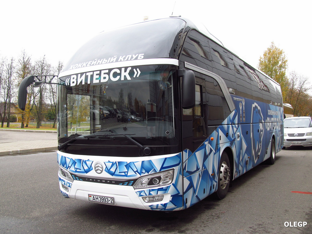 Vitebsk, Golden Dragon XML6126JR # АН 3993-2