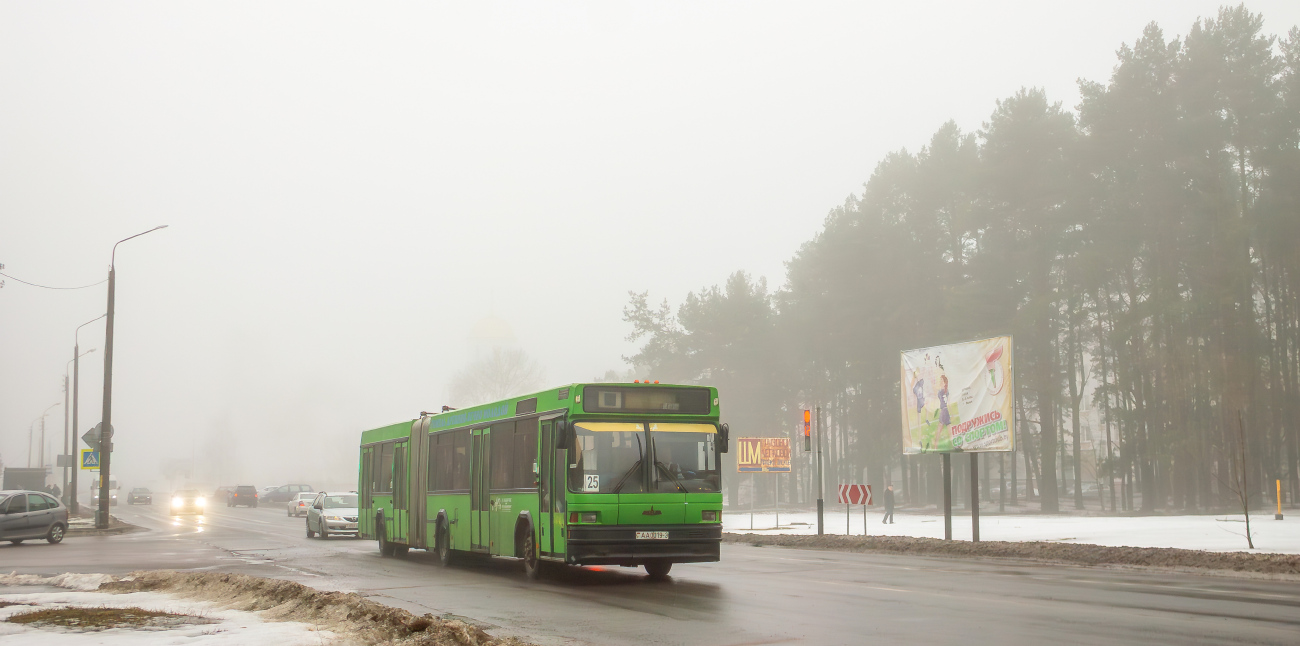 Gomel, MAZ-105.060 # 25038