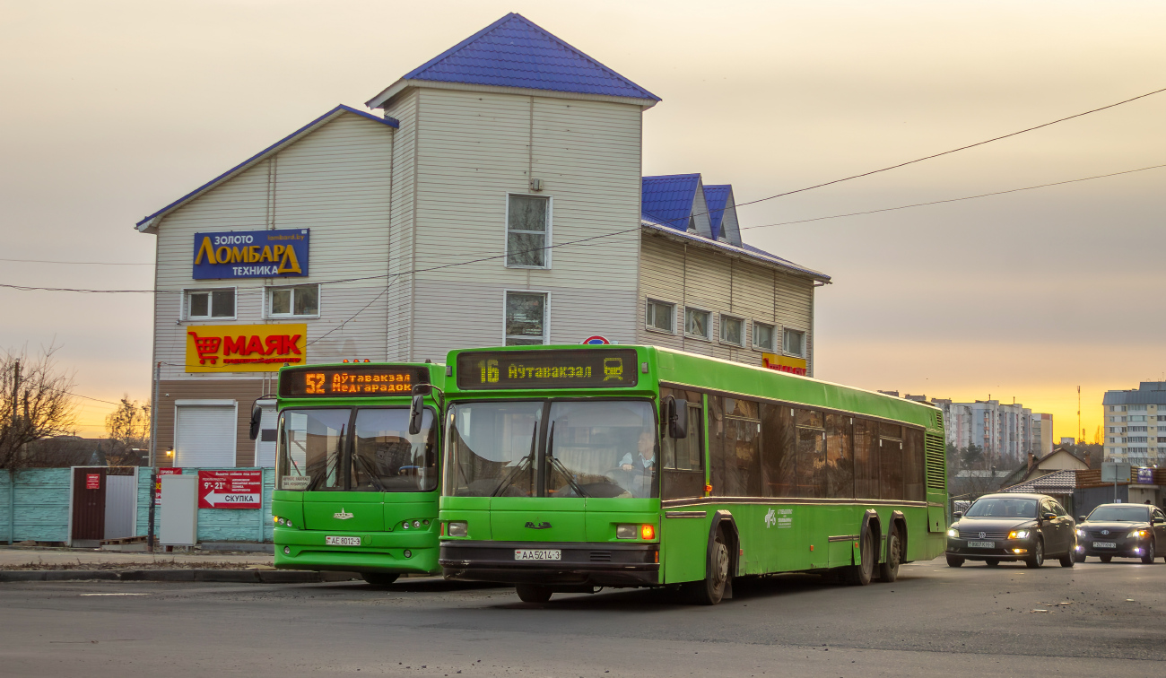 Gomel, MAZ-107.065 # 25178